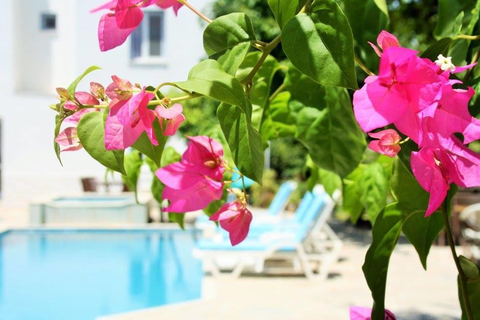 Çeşme Parla Apart Hotel מראה חיצוני תמונה